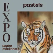 Exposition De Pastels De Sophie Moulinneuf
