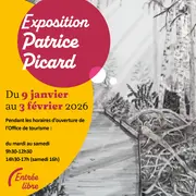 Exposition de Patrice PICARD