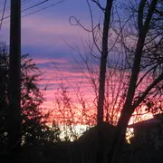 Exposition De Peinture