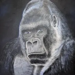 Exposition de peinture de Yves Malhère