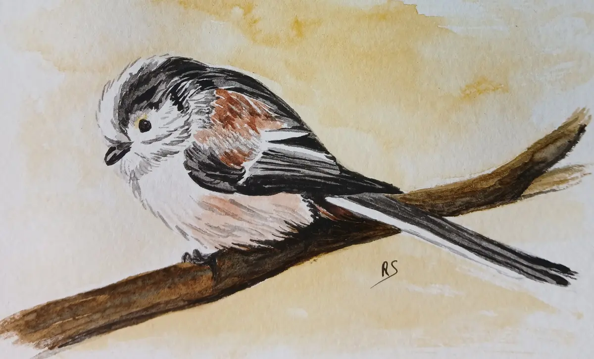Exposition de peinture : Séverine Rennane