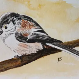 Exposition de peinture : Séverine Rennane