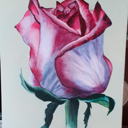 Exposition de peintures