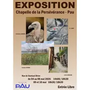 Exposition De Peintures