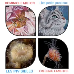 Exposition de peintures et photographies
