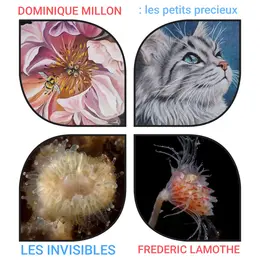 Exposition de peintures et photographies
