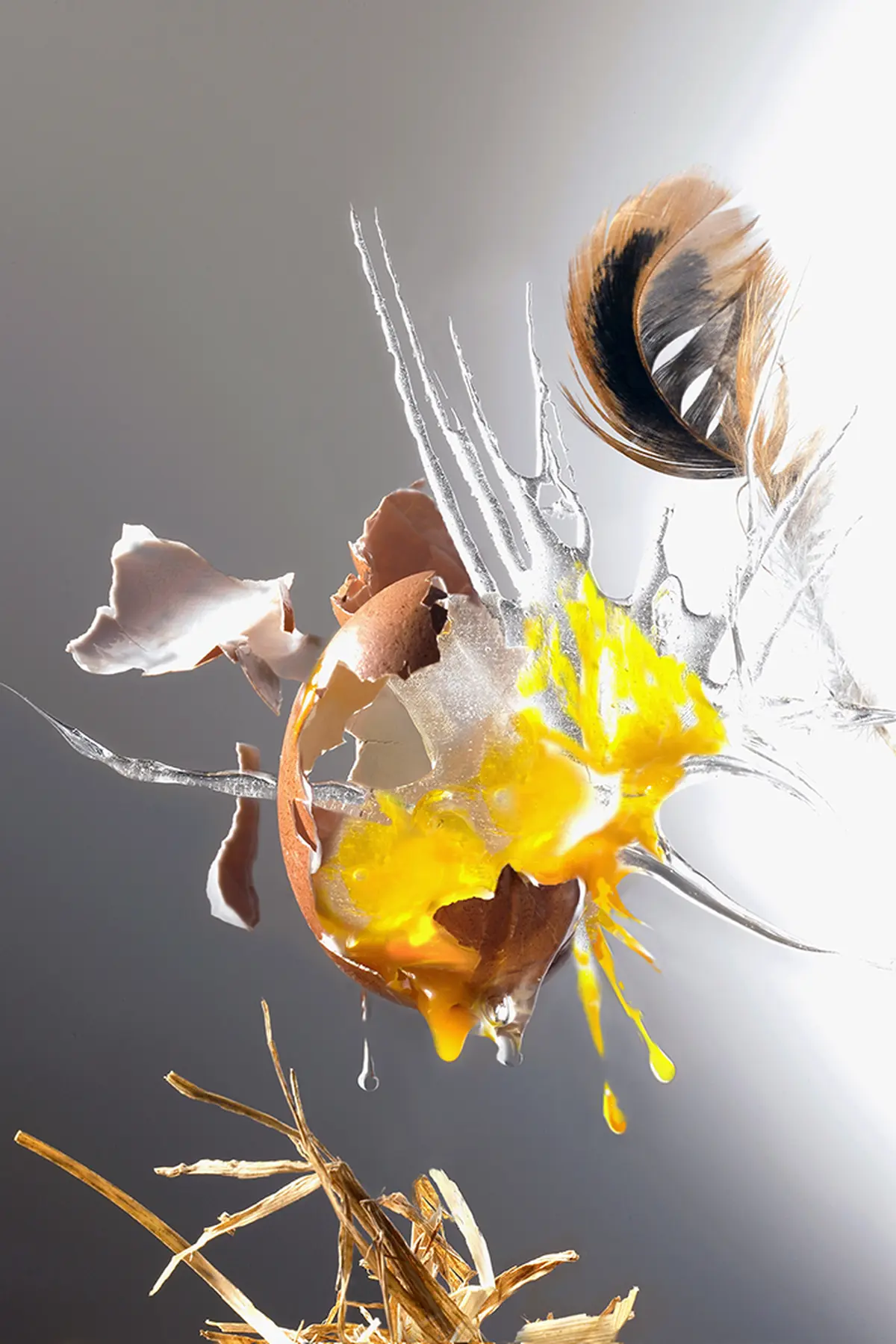 Exposition de peintures, photographies culinaires et sculptures