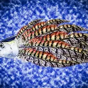 Exposition de photographies