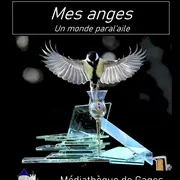 Exposition de photographies