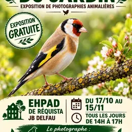 Exposition de photographies animalières - Les oiseaux du Jardin - EHPAD de Réquista