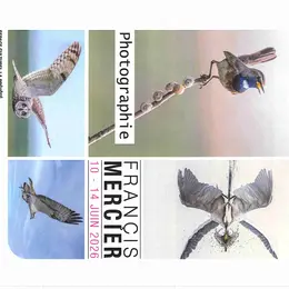 Exposition de photographies de francis mercier