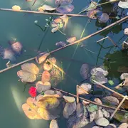 Exposition de photographies : La beauté ordinaire