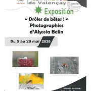 Exposition de photos
