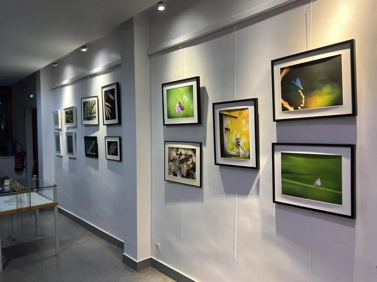 Exposition de photos du LAN au Foyer Rural