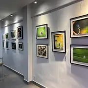 Exposition de photos du LAN au Foyer Rural