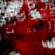 Exposition de photos Fluxus Natura