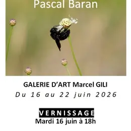 Exposition De Photos Par Pascal Baran