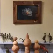 Exposition de photos subaquatiques