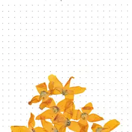 Exposition DE Socheata CANTO-AING, CLARIFIE LE COEUR DISPERSE LE FEU
