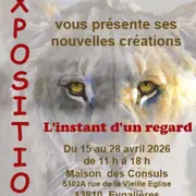 Exposition de Sylvie Ajacques : L'instant d'un regard