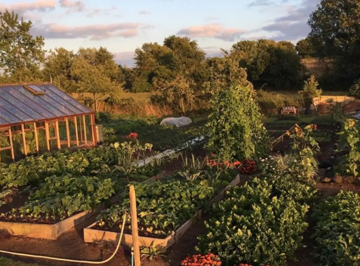 Exposition : Découvrons le potager