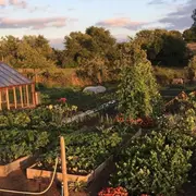 Exposition : Découvrons le potager