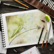 Exposition des dessins des ateliers d'art plastique de Familles Rurales