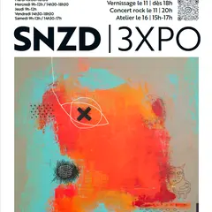 Exposition des oeuvres de SNZD