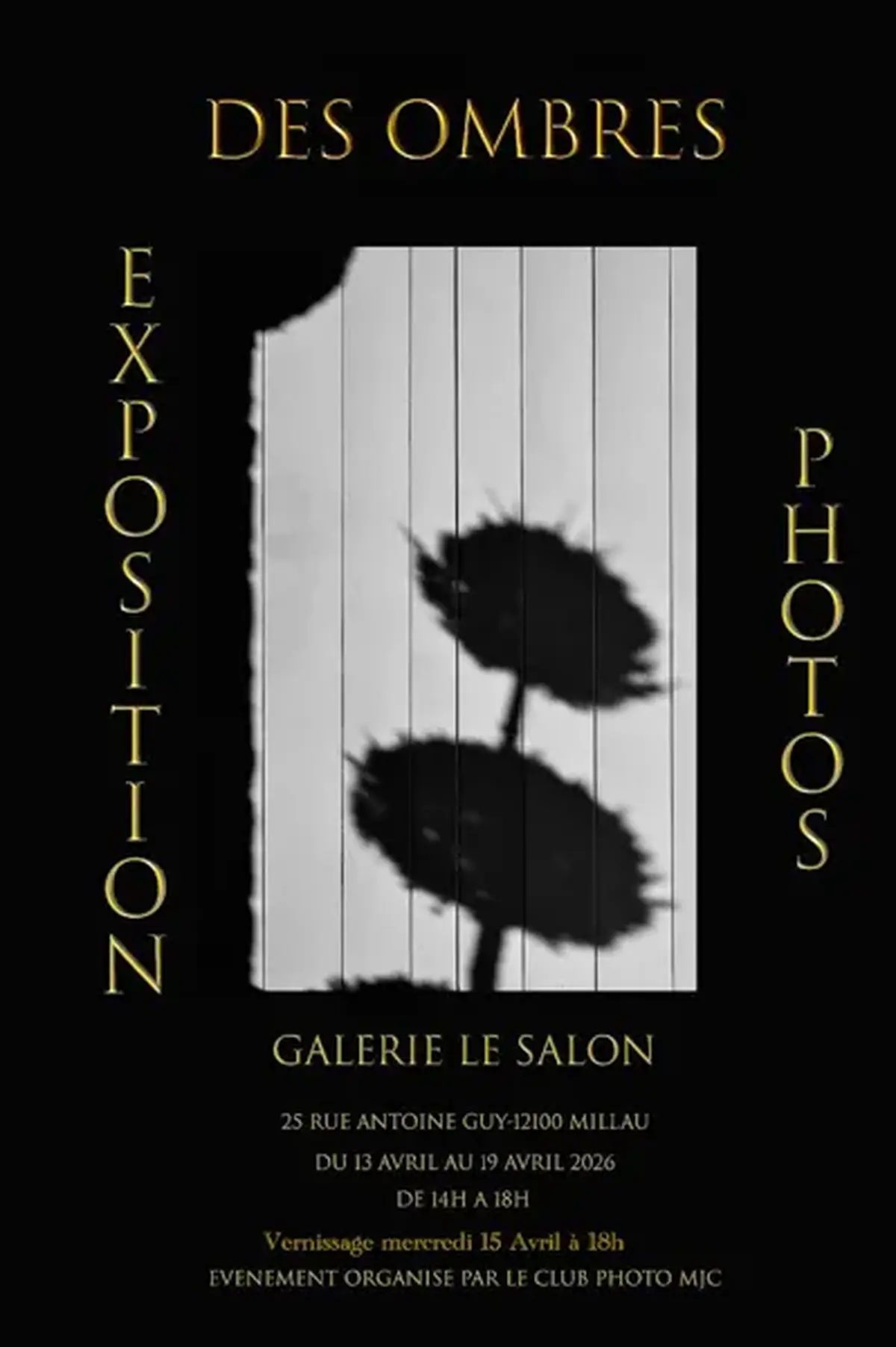 Exposition  des ombres  - Galerie le Salon