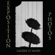 Exposition  des ombres  - Galerie le Salon