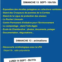 Exposition des récoltes potagères