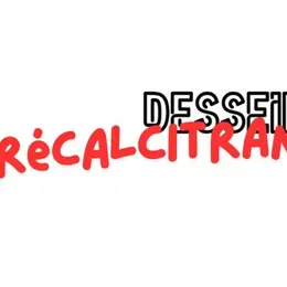 Exposition « Desseins récalcitrants» à l'artothèque