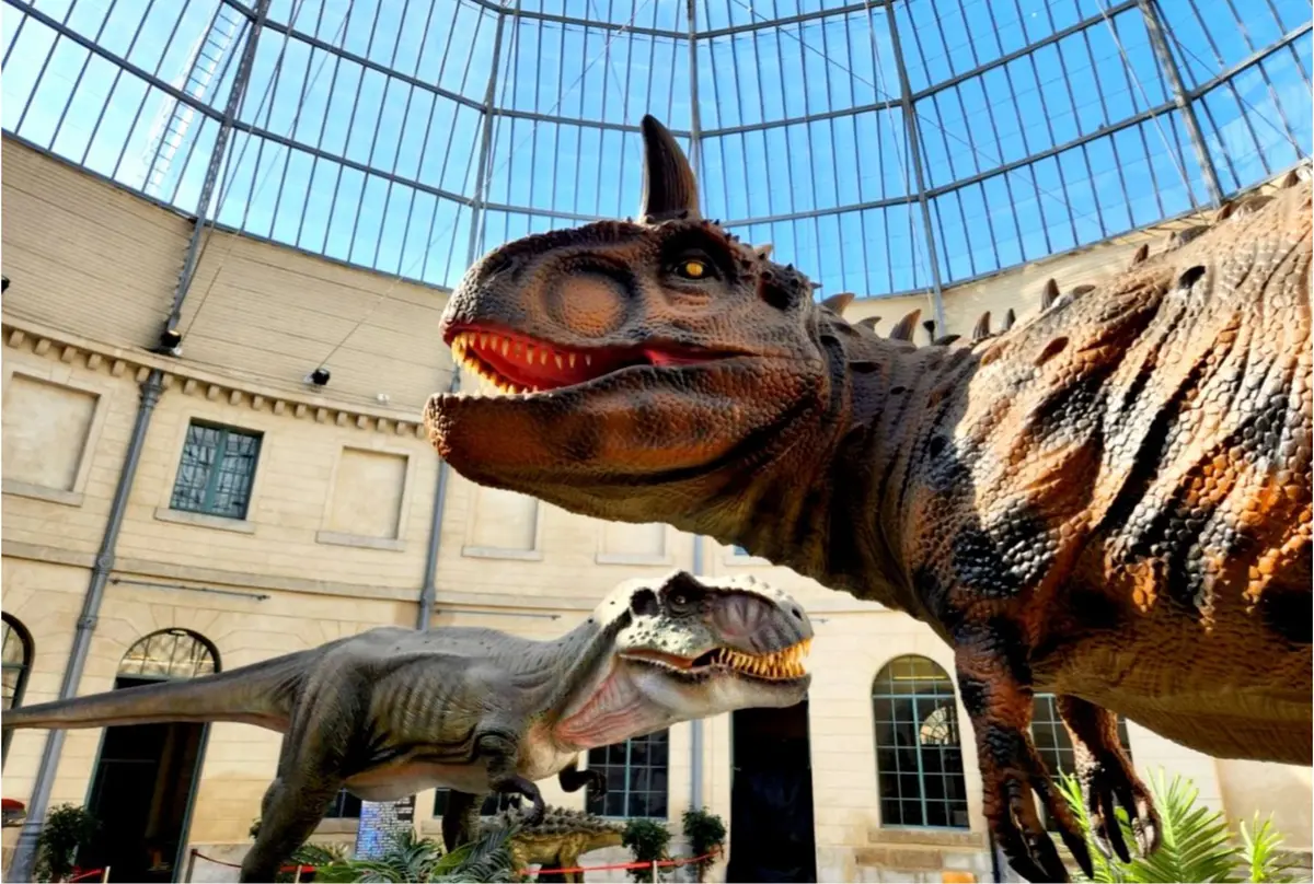 Exposition Dinosaures