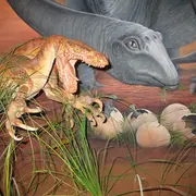 Exposition : Dinosaures de Provence