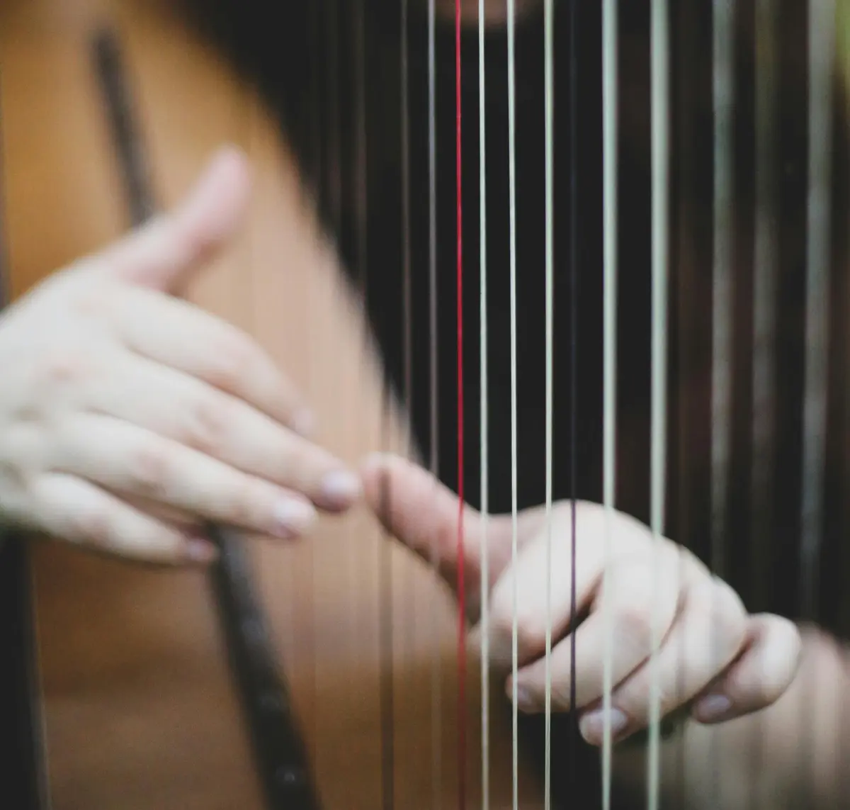 Exposition Dis-moi Dix mots