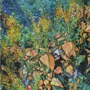 Exposition Dominique Coppens