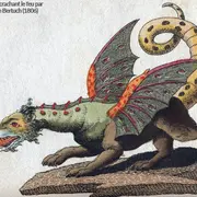 Exposition : Dragons, entre l'Orient et l'Occident
