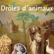 EXPOSITION - Drôles d\'animaux