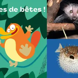 Exposition Drôles de bêtes !