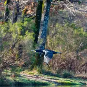 Exposition du Photo-club Montponnais