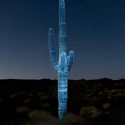 Exposition du Prix Photographie & Sciences à Niort