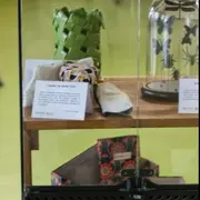 Exposition du SYDED à l'Escalier