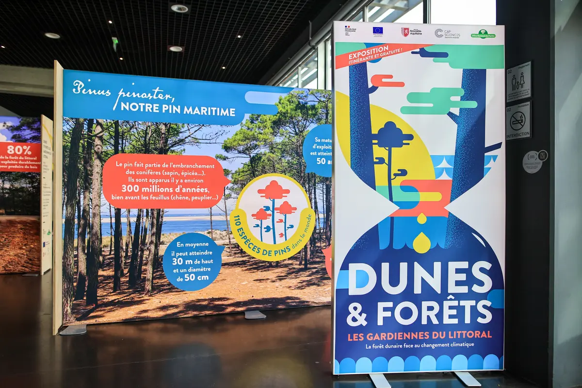 Exposition Dunes et forêts, les gardiennes du littoral - ONF, Cap Sciences, Région Nouvelle-Aquitaine