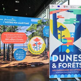Exposition Dunes et forêts, les gardiennes du littoral - ONF, Cap Sciences, Région Nouvelle-Aquitaine