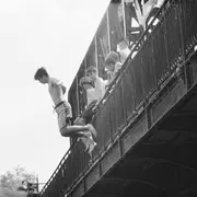 Exposition ÉCLOSIONS IMPRÉVUES