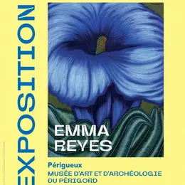 Exposition : Emma Reyes au MAAP