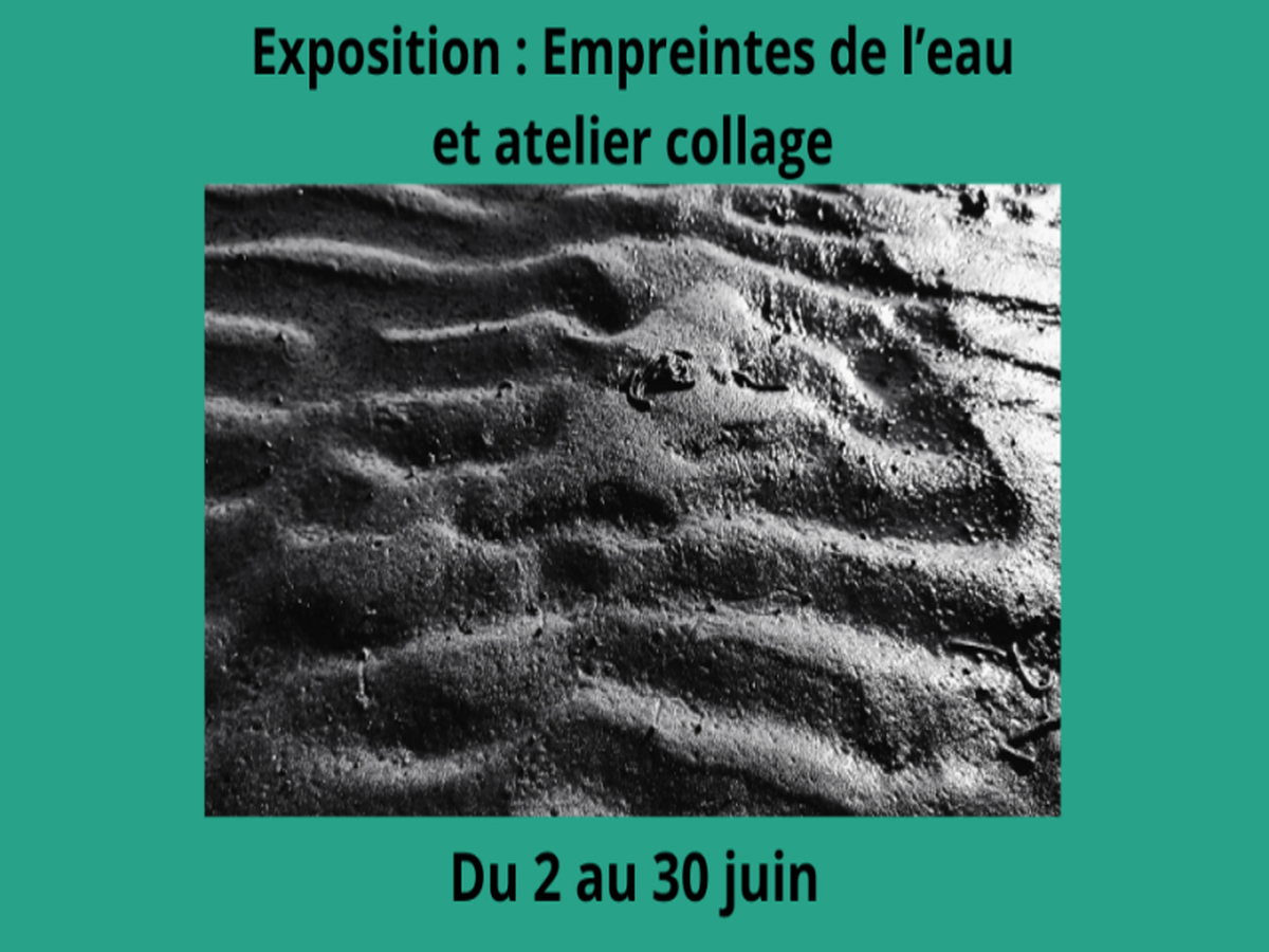 Exposition Empreintes de l'eau par Céline Vermeire Bruère.