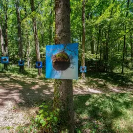 Exposition En Forêt.
