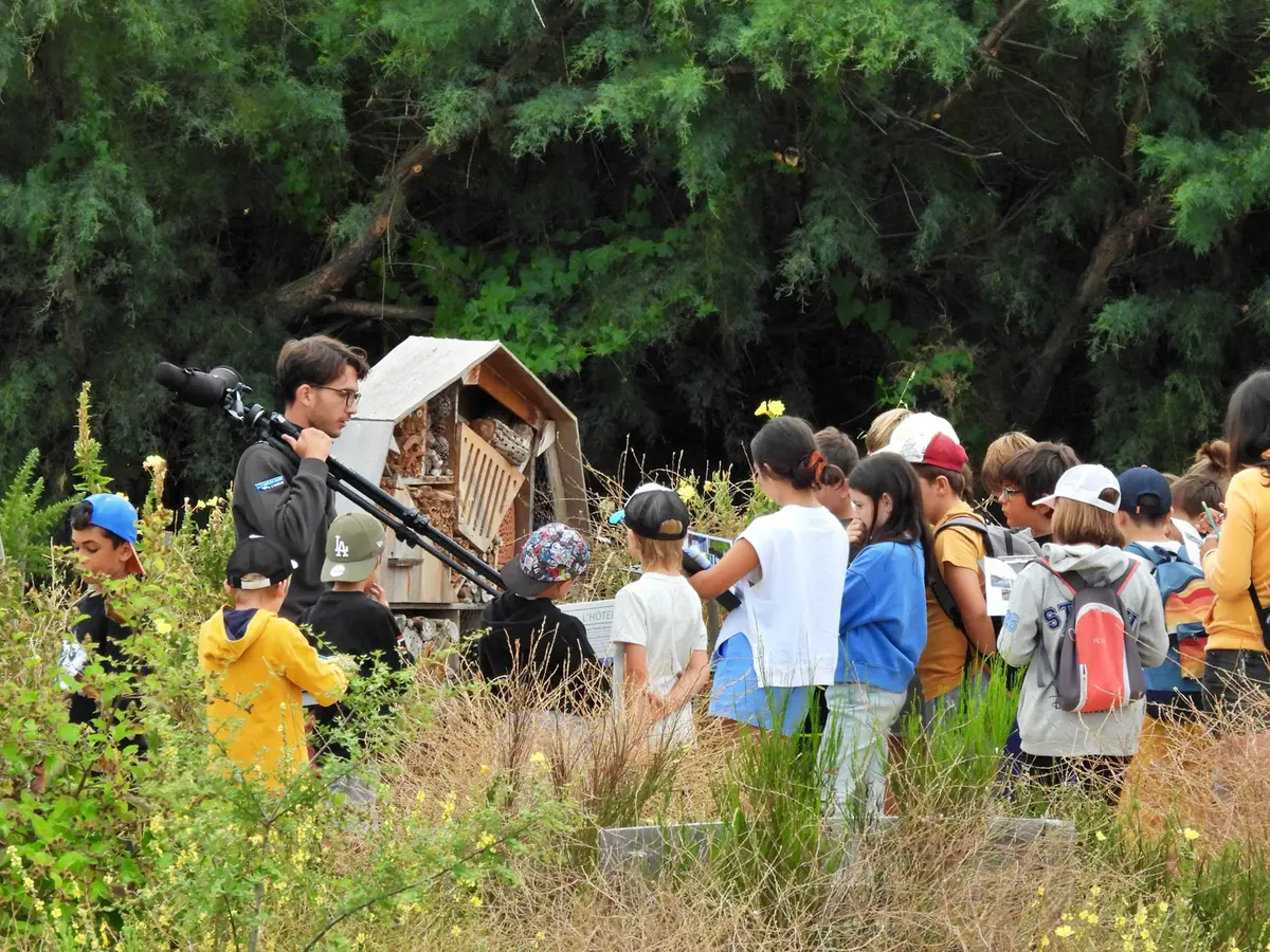 Exposition En[quête] d’insectes - Carrefour des Sciences et des Arts