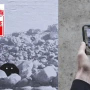 Exposition en réalitée augmentée - Faune